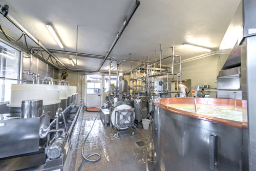 Käserei innen mit Milchbecken